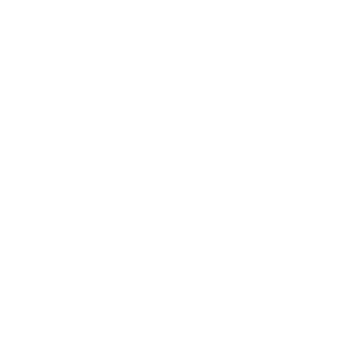 play icon